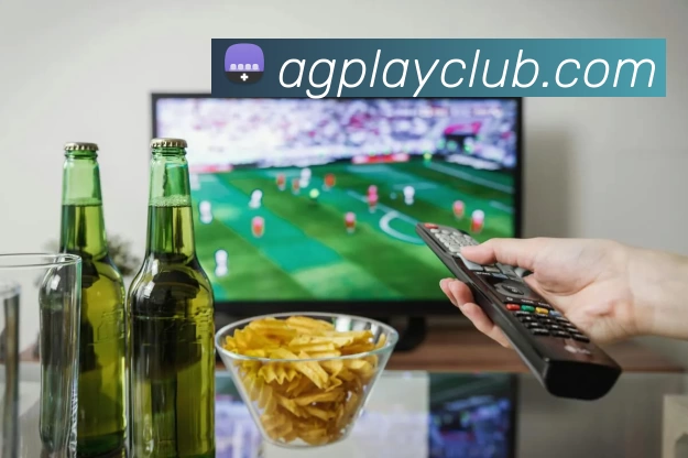 多媒体互动体验